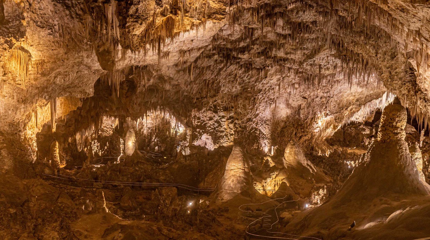 Carlsbad-Caverns-National-Park-New-Mexico
