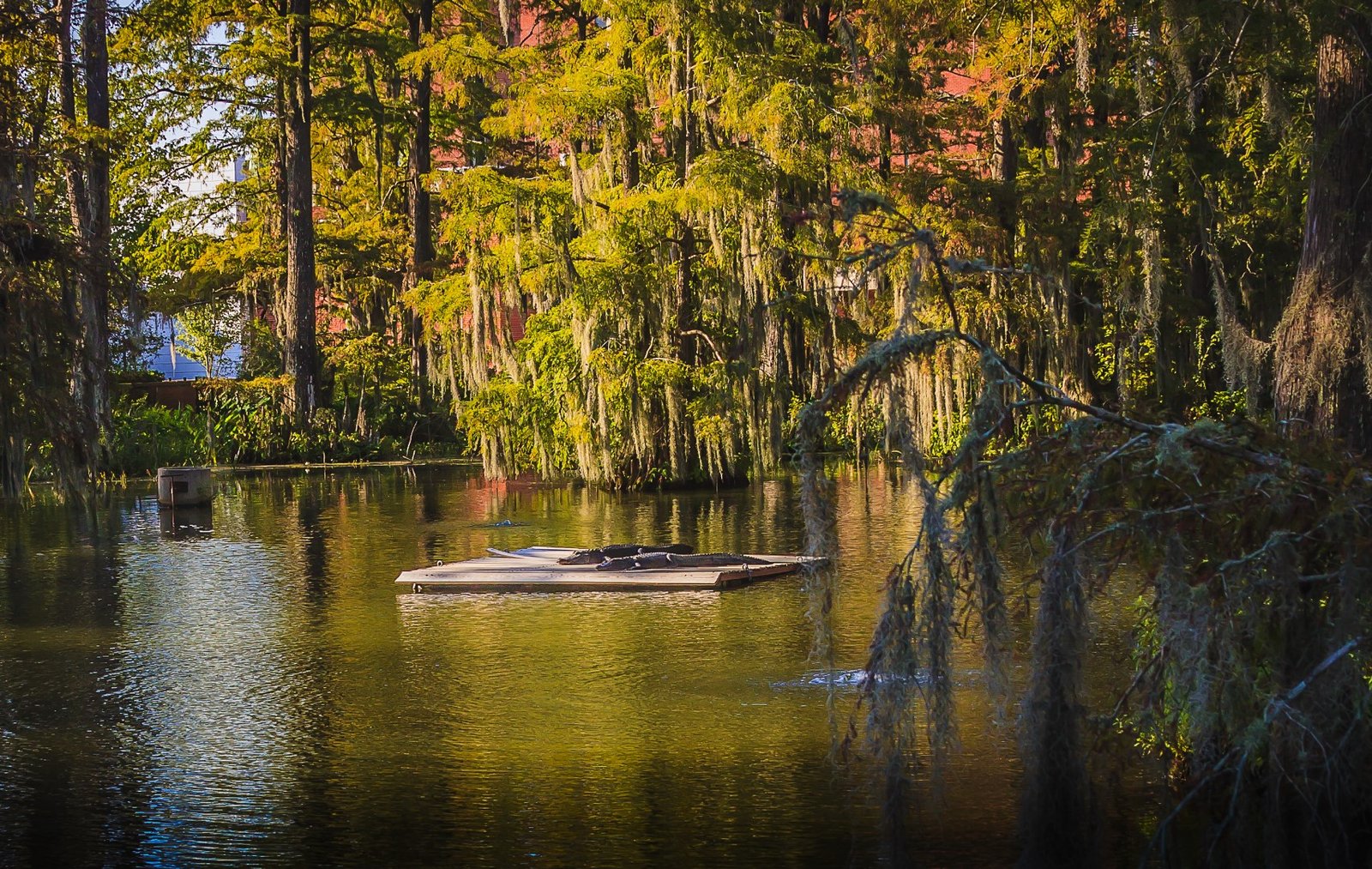 Lafayette-Louisiana