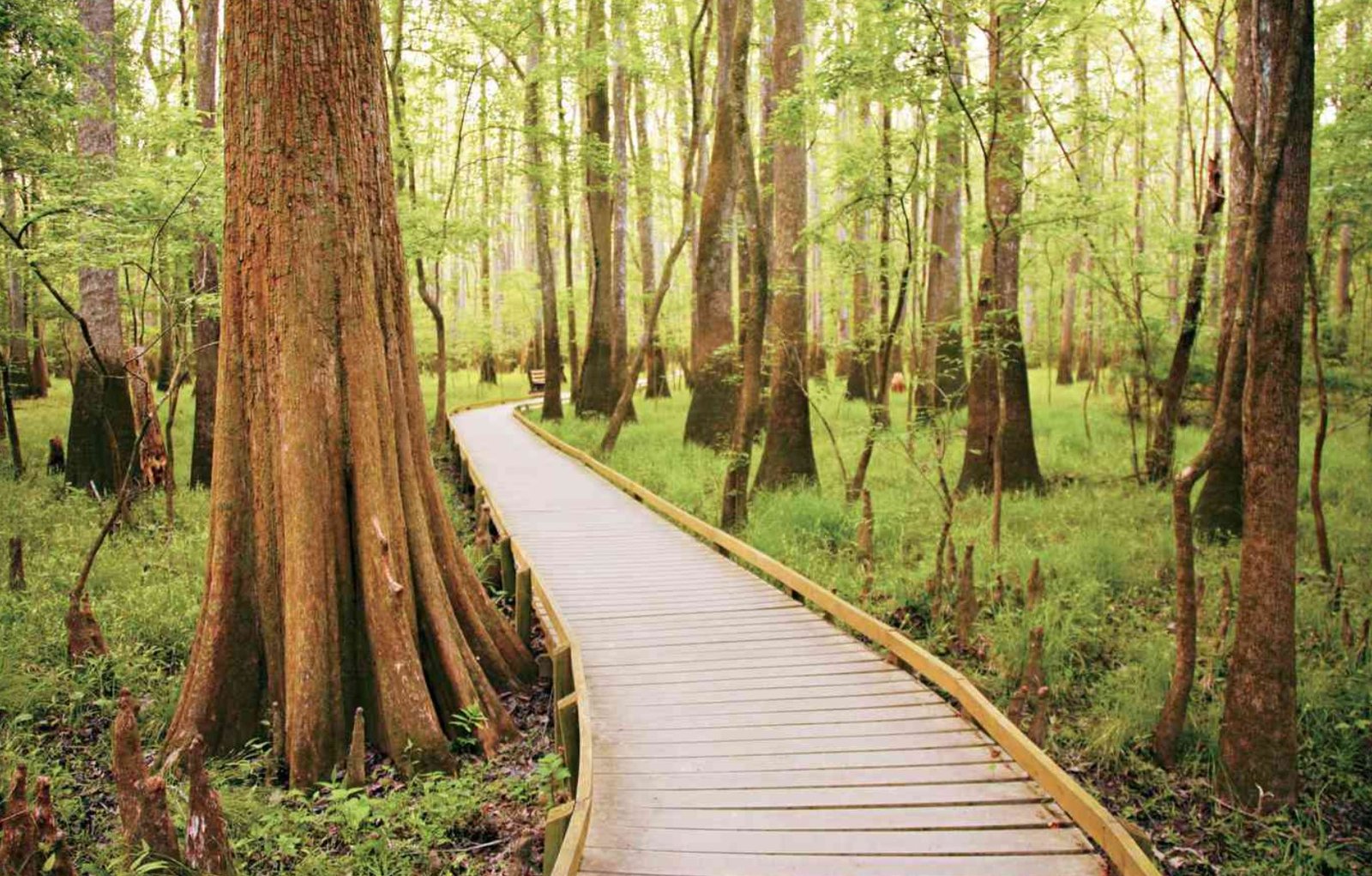 South Carolina VisitToUSA South Carolina VisitToUSA