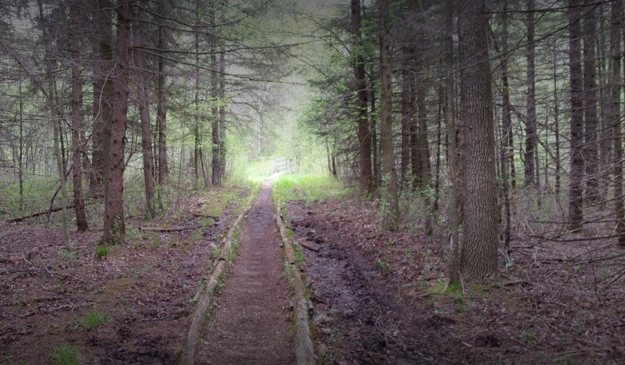 Kettle-Moraine-State-Forest