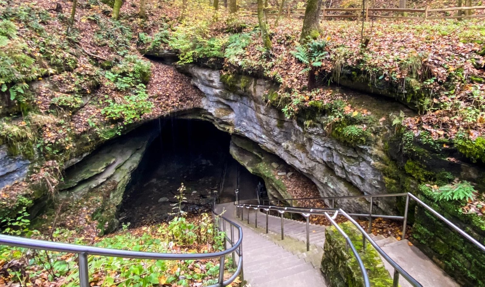 Mammoth-Cave-National-Park
