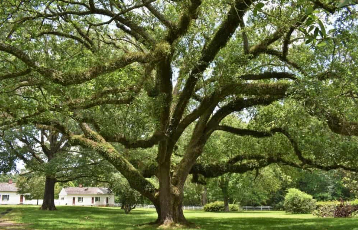 Natchez-National-Historical-Park