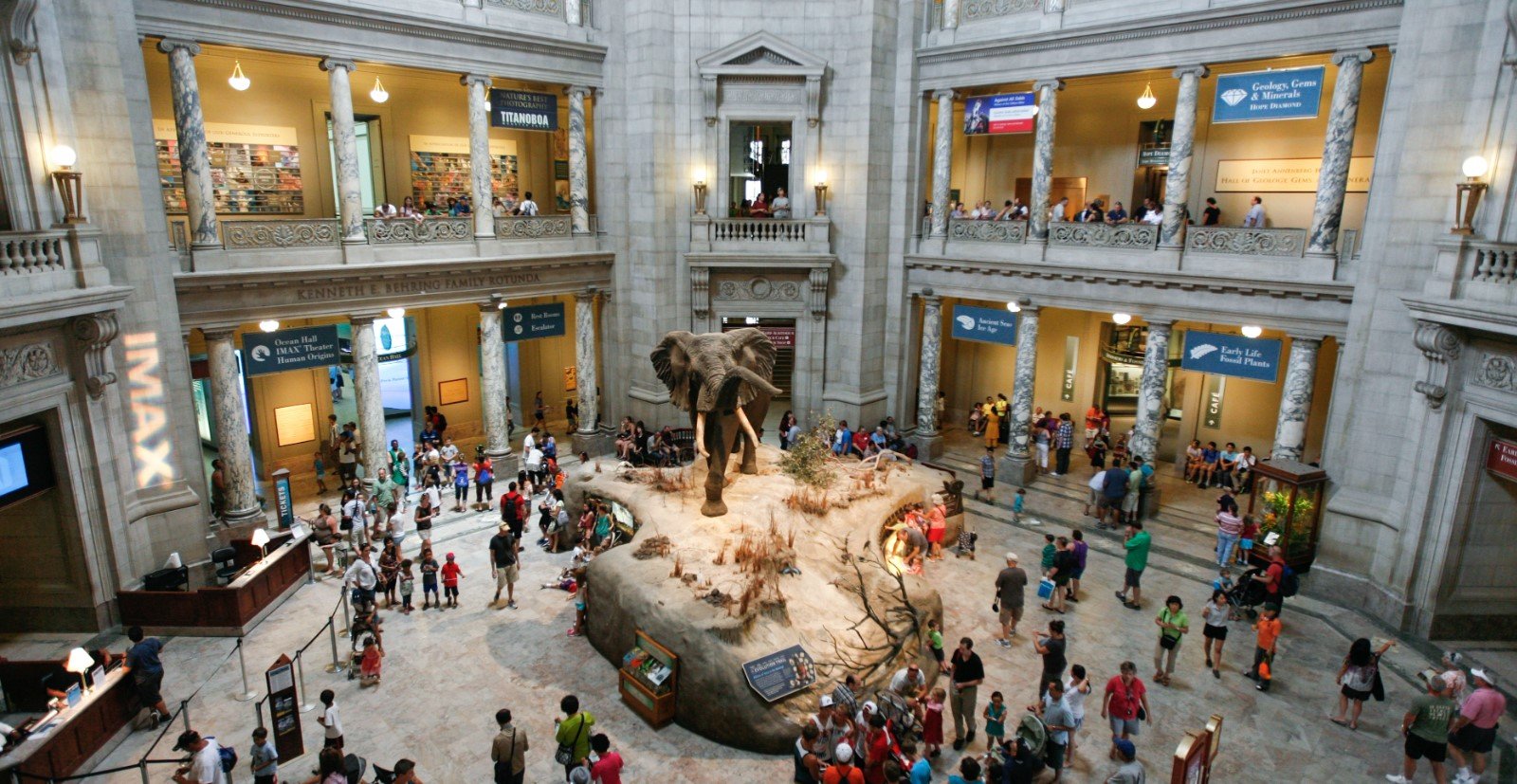 the-smithsonian-national-museum-of-natural-history